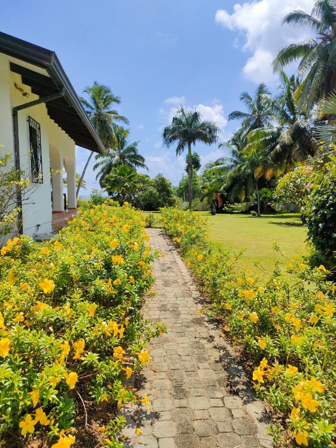 Villa Luana Yuna Au Cap 외부 사진