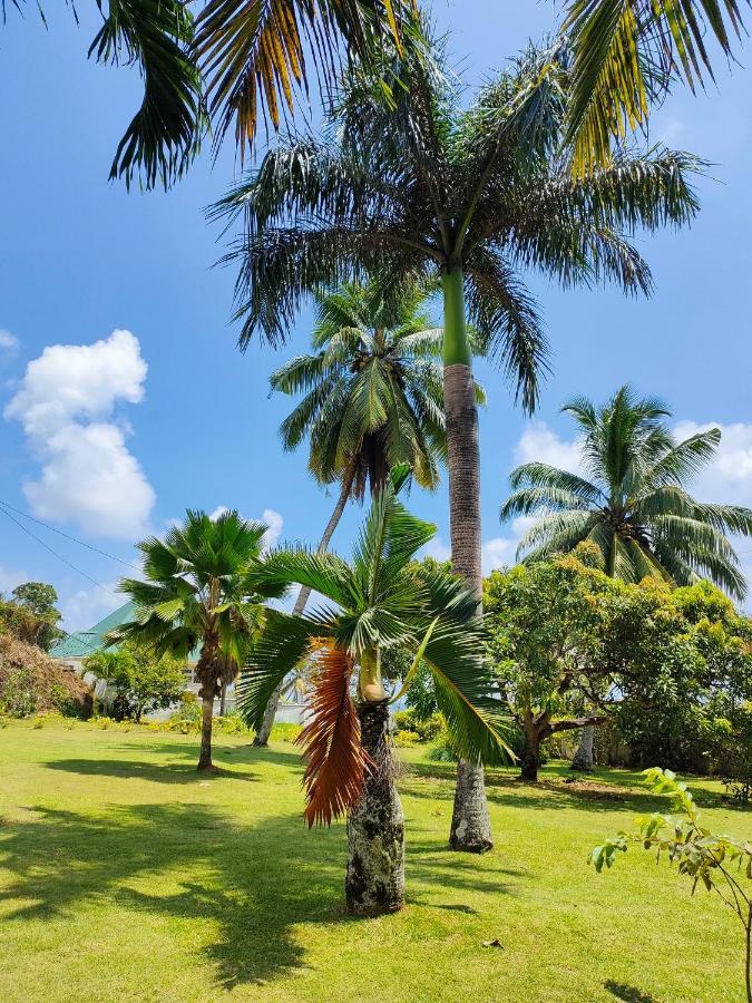 Villa Luana Yuna Au Cap 외부 사진