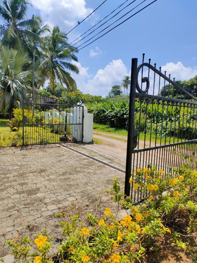 Villa Luana Yuna Au Cap 외부 사진